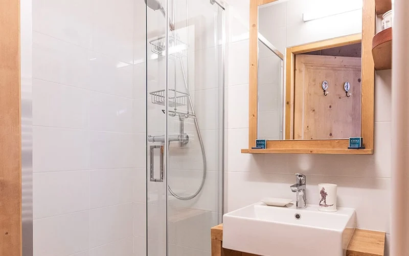 Salle de douche de l'appartement Petit Bois avec vasque et miroir en bois